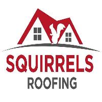 Squirrels Roofing image 2